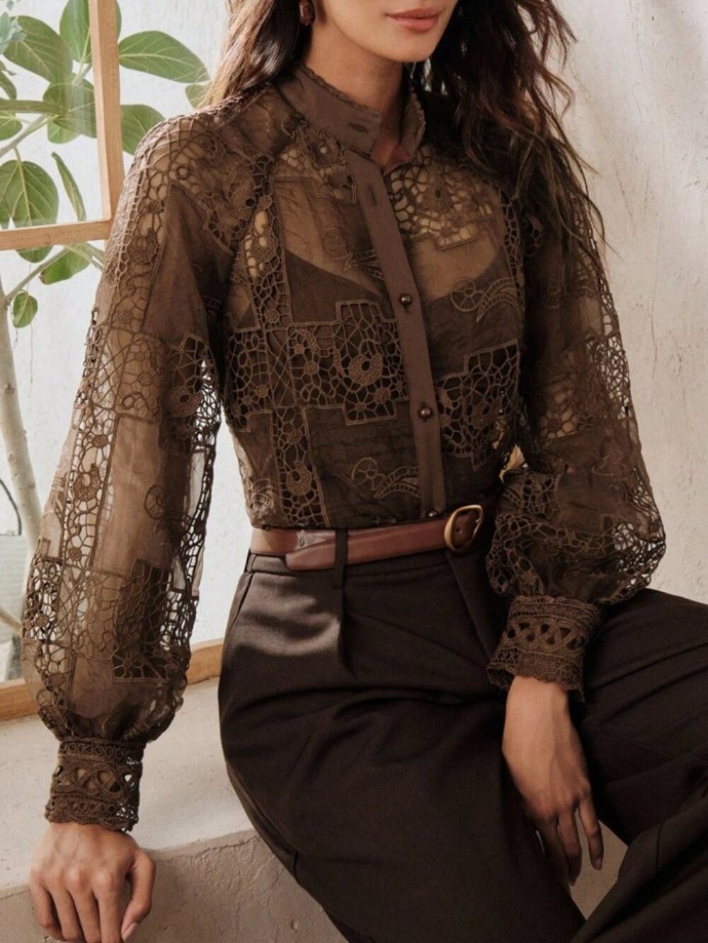 Brown Crochet Lace Sheer Blouse with Stand Collar
